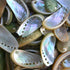 green mother of pearl abalone shell 1 kg pack
